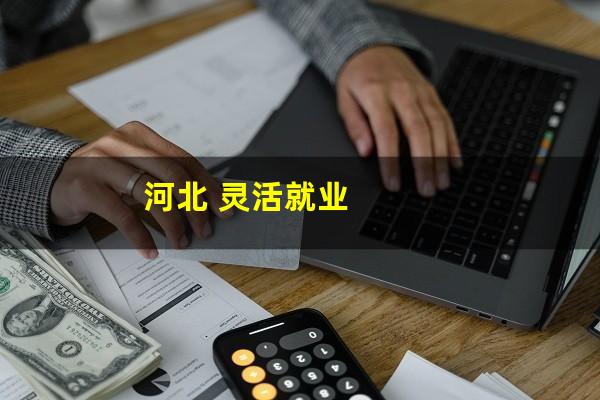 河北 灵活就业